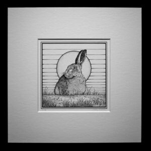 Sunset Series hare limited edition print
